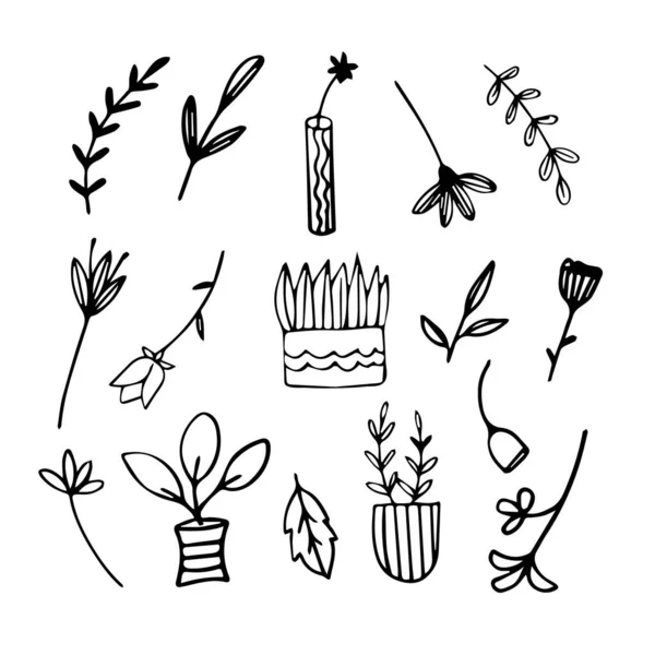 Conjunto Hojas Dibujadas Mano Flores Iconos Vectores Planos Plantas Aislados — Vector de stock