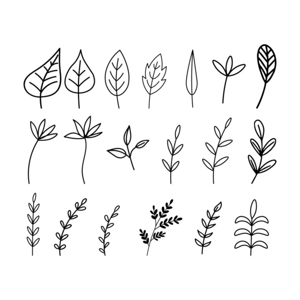 Set Hand Drawn Flat Vector Botanical Leaves Line Illustrations Isolated — Stock Vector