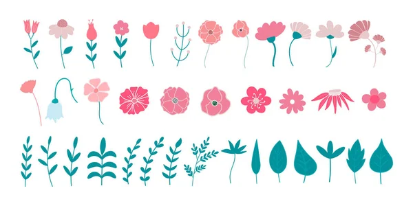 Ensemble Fleurs Vectorielles Feuilles Illustrations Isolées Sur Fond Blanc Fleurs — Image vectorielle