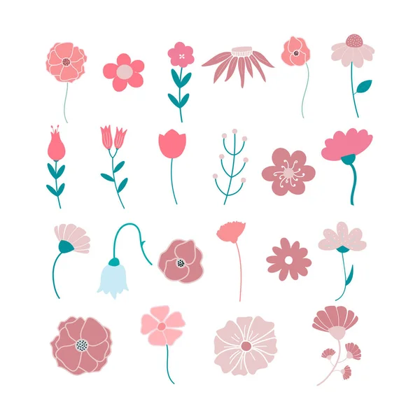 Ensemble Illustrations Fleurs Vectorielles Dessinées Main Isolées Sur Fond Blanc — Image vectorielle