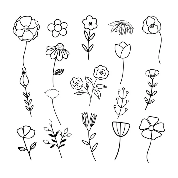 Ensemble Illustrations Fleurs Vectorielles Dessinées Main Isolées Sur Fond Blanc — Image vectorielle