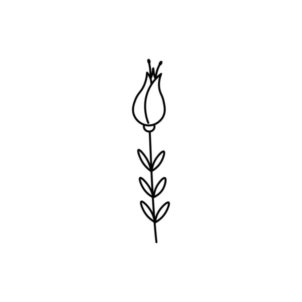 Ručně Kreslené Květiny Plochý Vektor Ilustrace Izolované Bílém Pozadí — Stockový vektor