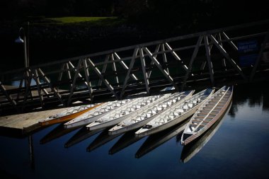 Gölde dinlenen uzun kanolar