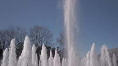Vancouver, Canada- March 2020; water fountains in Queen Elizabeth in Vancouver