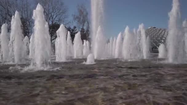 Vancouver Canada March 2020 Water Fountains Queen Elizabeth Vancouver — 图库视频影像