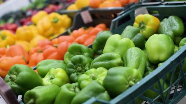 Paprika Van Verschillende Kleuren Liggen Toonbank Van Supermarkt Selectieve Focus — Stockvideo