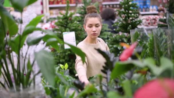 女孩在花店里挑一种植物 选对了 她就走了 — 图库视频影像