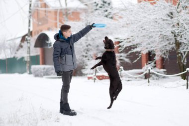 Genç bir adam köpeğiyle oynuyor, ona oyuncak uzatıyor..