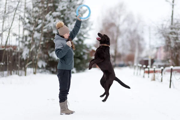 Девушка играет со своей собакой на улице зимой . — стоковое фото