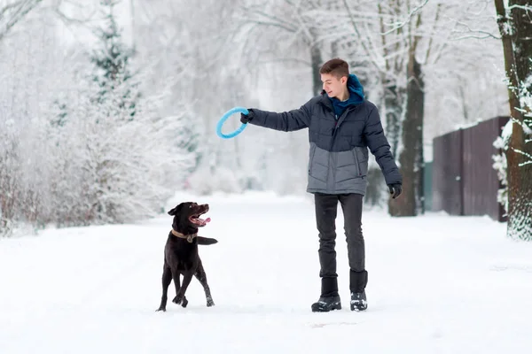 Genç bir adam ve kahverengi bir labrador kışın bir kır yolunda yürüyüp oynuyorlar.