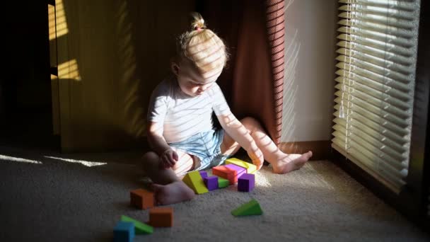 Una Niña Está Jugando Con Figuras Colores Suelo Cerca Ventana — Vídeo de stock