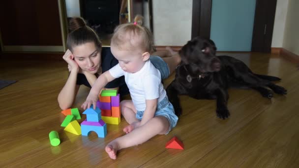 母親と娘は色の数字とキューブで遊ぶ 彼らの隣には茶色のラブラドール 家族の犬があります 母娘遊びますキューブ 全体的な計画 — ストック動画