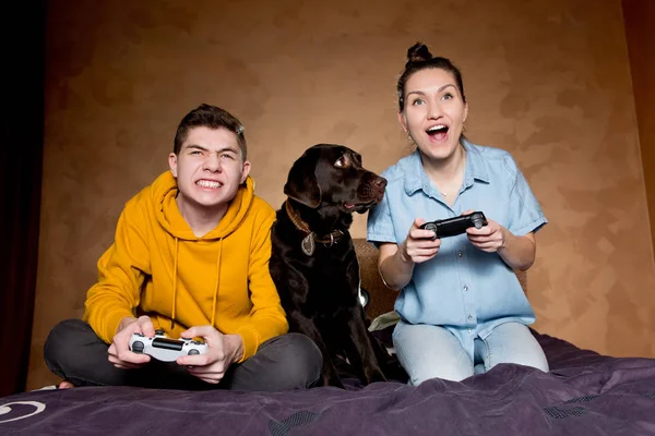 Irmão perde irmã um jogo de computador, entre eles se senta um cão — Fotografia de Stock