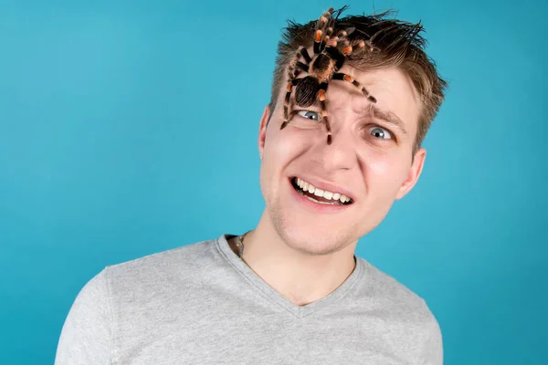 Jovem Chocado Cara Com Uma Aranha Cabeça Fundo Azul — Fotografia de Stock