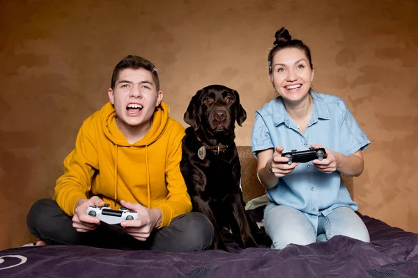 Брат, сестра і домашня собака перед екраном в комп'ютерній грі — стокове фото