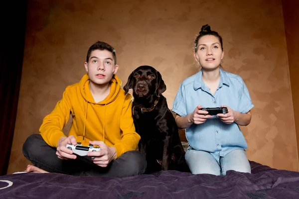 Dois jovens jogam um jogo de computador e um cão senta-se com eles — Fotografia de Stock