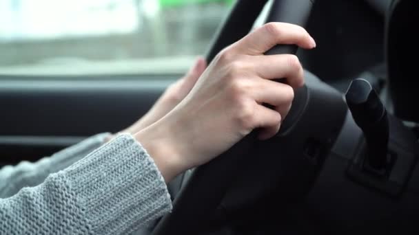 Τα χέρια μιας νεαρής γυναίκας που κρατά το τιμόνι ενός αυτοκινήτου κατά την οδήγηση — Αρχείο Βίντεο