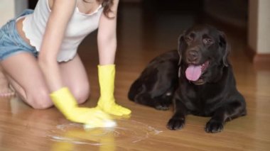 Kız zemini sabun ve süngerle yıkıyor ve köpek yakınlarda yatıyor.