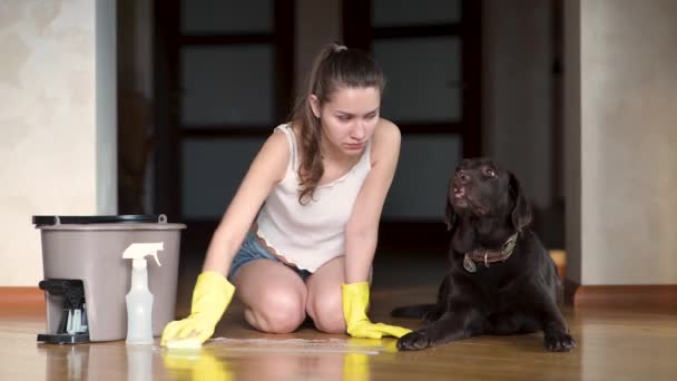 犬が床の上で汚れてホステスが不幸だ。女が床を洗って — ストック動画