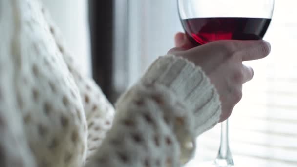 窓の前に立つ少女の手に赤ワインの入った大きなワイングラスが — ストック動画