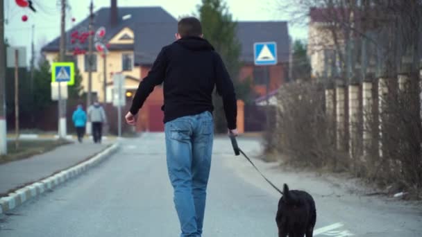 Adolescent Méconnaissable Chevauchant Une Planche Roulettes Promenant Chien Laisse Dans — Video