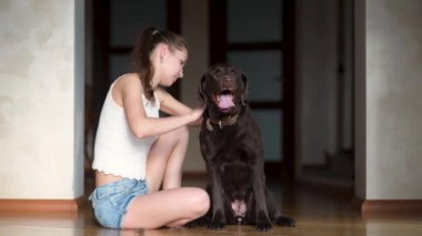 Genç bir kadın köpeğinin paltosuyla ilgilenir. Ama büyük ve güçlü köpek gitmek ister. Hanımefendinin onu yerinde tutması zordur. Köpeği evin koridorunda dolaştırmak.