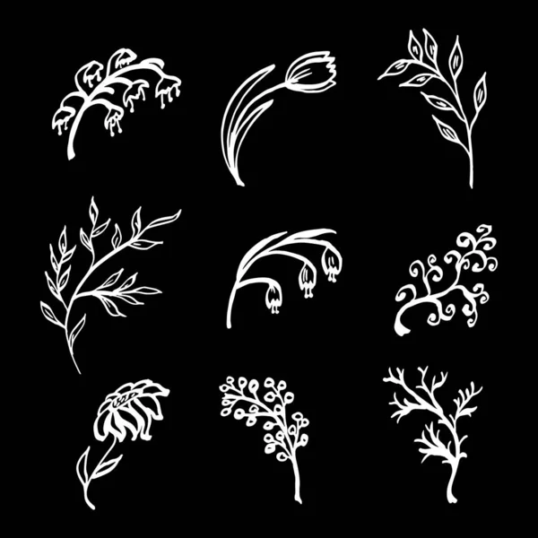 Sada Ručně Kreslených Rostlin Větví Bobulí Bylin Květin Skica Dekorativní — Stockový vektor