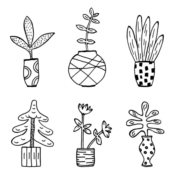 Dekorativní Květináče Dům Rostliny Kreslit Kreslené Kreslené Čmáranice Ikony Sada — Stockový vektor