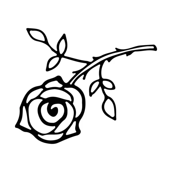 玫瑰花 叶型轮廓标识 用墨水和笔刷手绘 黑色的白色 浪漫的素描 — 图库矢量图片