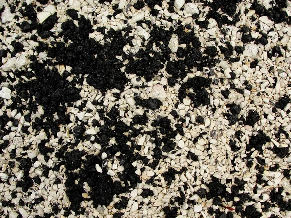 Textura Fondo Grava Piedra Negra Blanca Contraste Pequeñas Rocas Abstracto — Foto de Stock