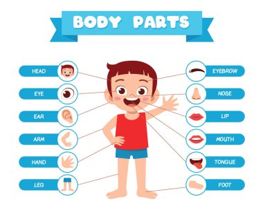 Mutlu tatlı çocuk vücut parçası anatomisi