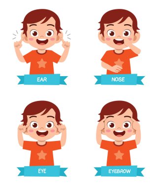 Mutlu tatlı çocuk vücut parçası anatomisi