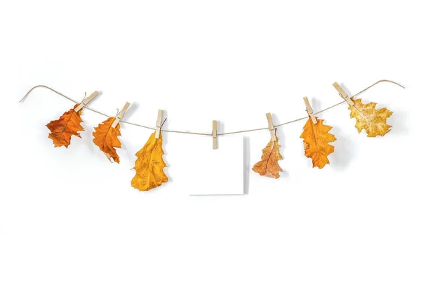 Girlanden Herbstlichen Klima Herbstblätter Auf Wäscheklammern Hingen Einer Rustikalen Sisalschnur — Stockfoto