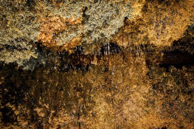 Sonbahar ormanının havadan görünüşü. Yukarıdan görünen ağaçlar. Güzel renkli sonbahar mevsimi.