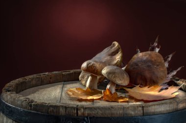 Sonbahar zamanı ve taze kahverengi mantarlar. Dekorasyonunuz, ürünleriniz veya renkli sonbahar arkaplanı olan metin için boşluk.