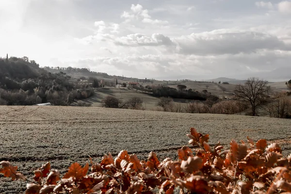 Tuscany Nin Sonbahar Manzarası Dekorasyonlarınız Ürünleriniz Metinleriniz Için Alan Sonbahar — Stok fotoğraf