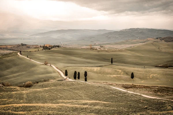 Paysage Automne Toscane Espace Pour Vos Décorations Produits Texte Temps — Photo