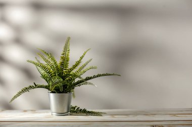 Reklam ürünleri ve dekorasyonlar için parlak arka plan ve alana sahip bahar çiçekleri.