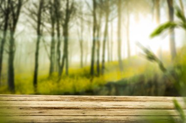 Dekorasyon ve ürünün için yeri olan ahşap masa üstü. Bulanık yeşil güneşli bahar ormanı arka planı. 