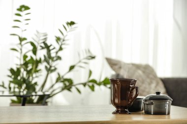 Saksı bitkileri - yapraklar ve saplar ve bulanık ev içi