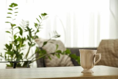 Saksı bitkileri - yapraklar ve saplar ve bulanık ev içi