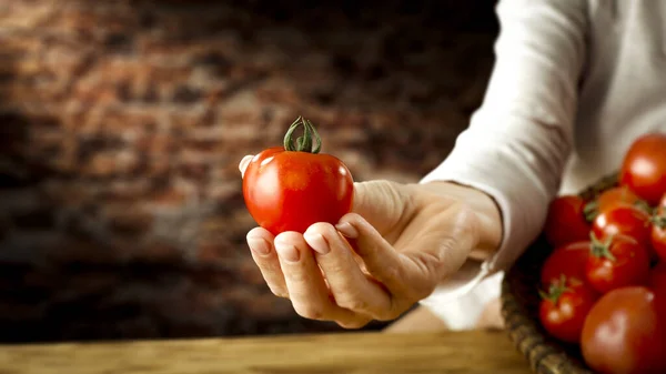 Frische Tomaten Der Hand Und Freiraum Für Ihre Dekoration — Stockfoto