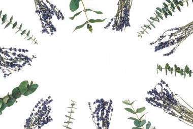 Çiçek kompozisyonu. Beyaz arkaplanda lavanta çiçekleri ve okaliptüs dallarından yapılmış çerçeve.