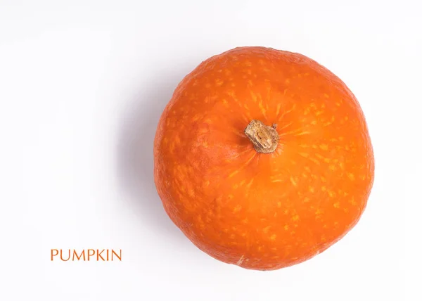 Calabaza Aislada Sobre Fondo Blanco — Foto de Stock