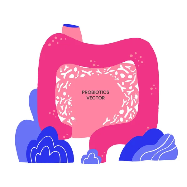 Human gut with good digestion and probiotics. space for text. — Stock Vector