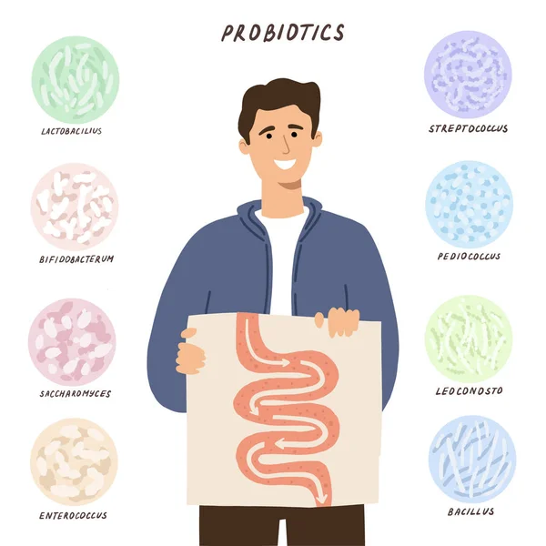 Концепція пробіотиків. Людина показує свій хороший травлення за допомогою — стоковий вектор