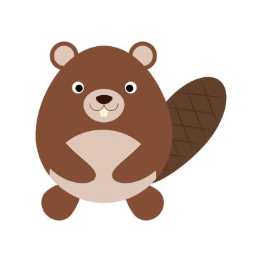 Tatlı düz kunduz, beyaz arka planda izole edilmiş.