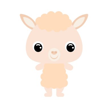 Şirin bebek alpaka. Evcil hayvan. Beyaz arkaplanda düz vektör stok illüstrasyonu