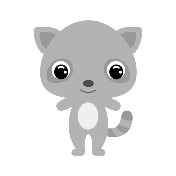 Niedlicher Baby-Waschbär. Waldtier. Flache Vektoraktienabbildung auf weißem Hintergrund — Stockvektor