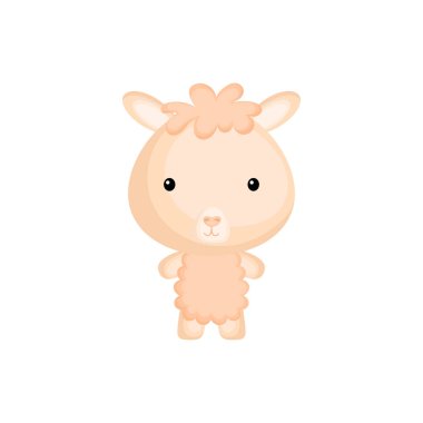 Beyaz arka planda izole edilmiş sevimli bebek lama ya da alpaka. Vahşi hayvan karakteri albüm, albüm, albüm, kart ve davetiye tasarımı için. Düz çizgi film renkli vektör çizimi.